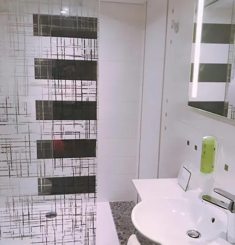 Logis Darcy Centre ホテル ディジョン