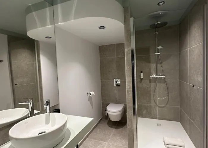 Logis Darcy Centre Hotel 4*