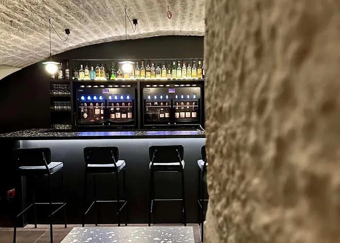 Logis Darcy Centre 4* Dijon